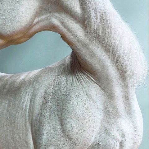Archillect ID 301101