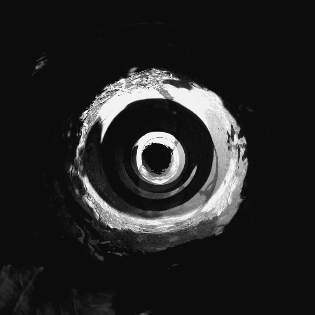 Archillect ID 301305