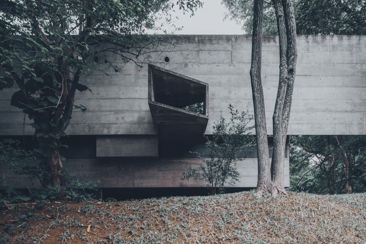 Archillect ID 301970