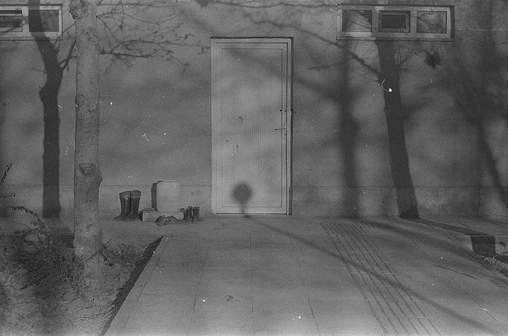 Archillect ID 302112