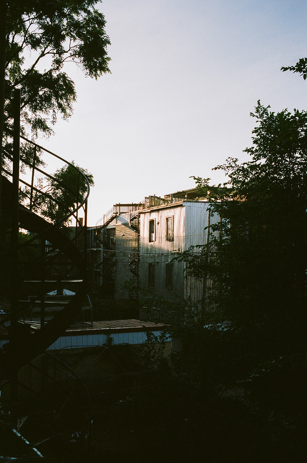 Archillect ID 302210