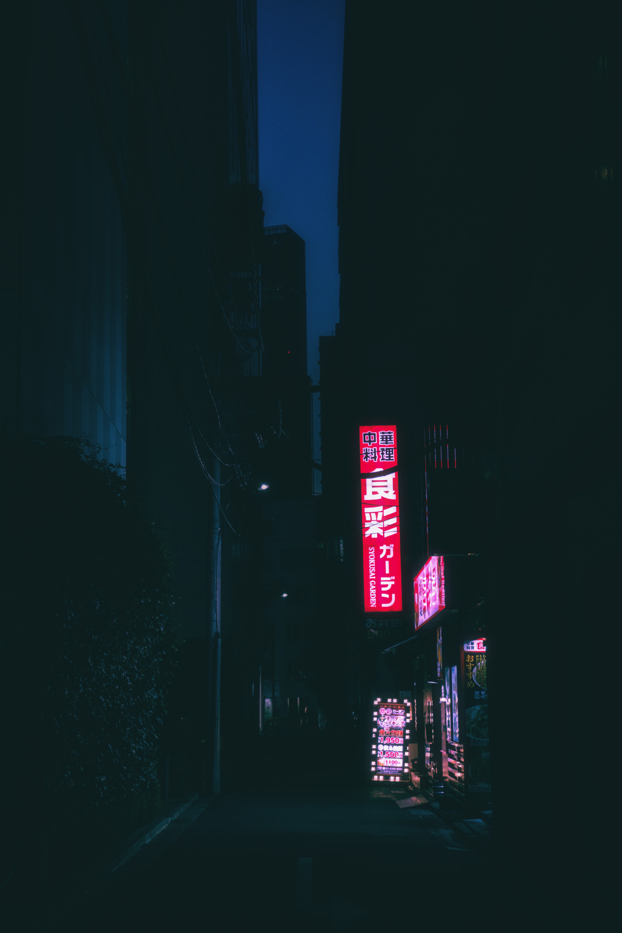 Archillect ID 303048