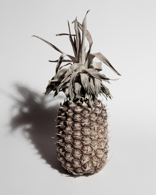 Archillect ID 303064