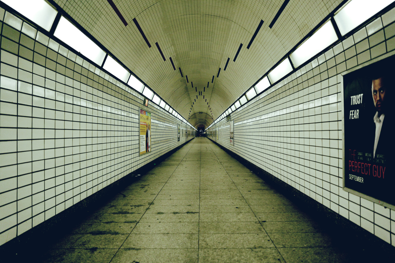 Archillect ID 303285