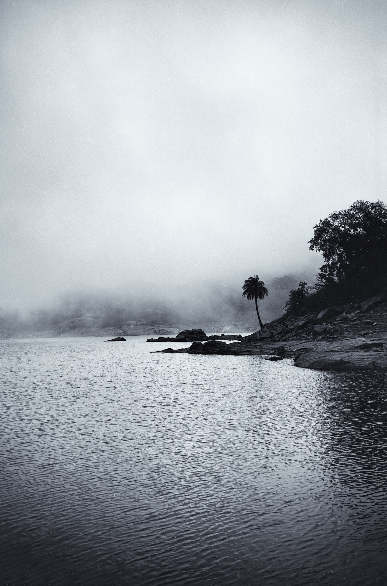 Archillect ID 303339
