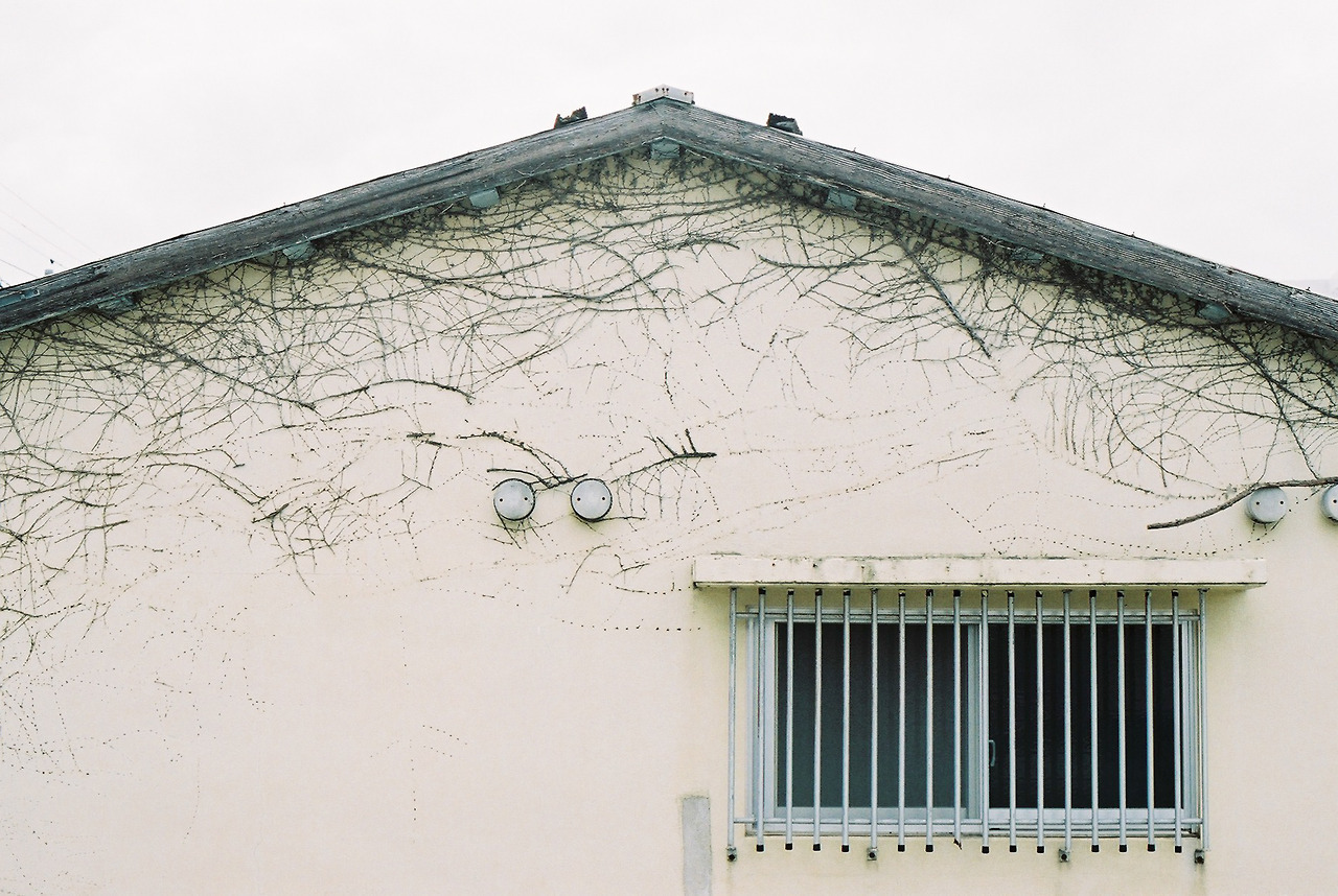 Archillect ID 303413