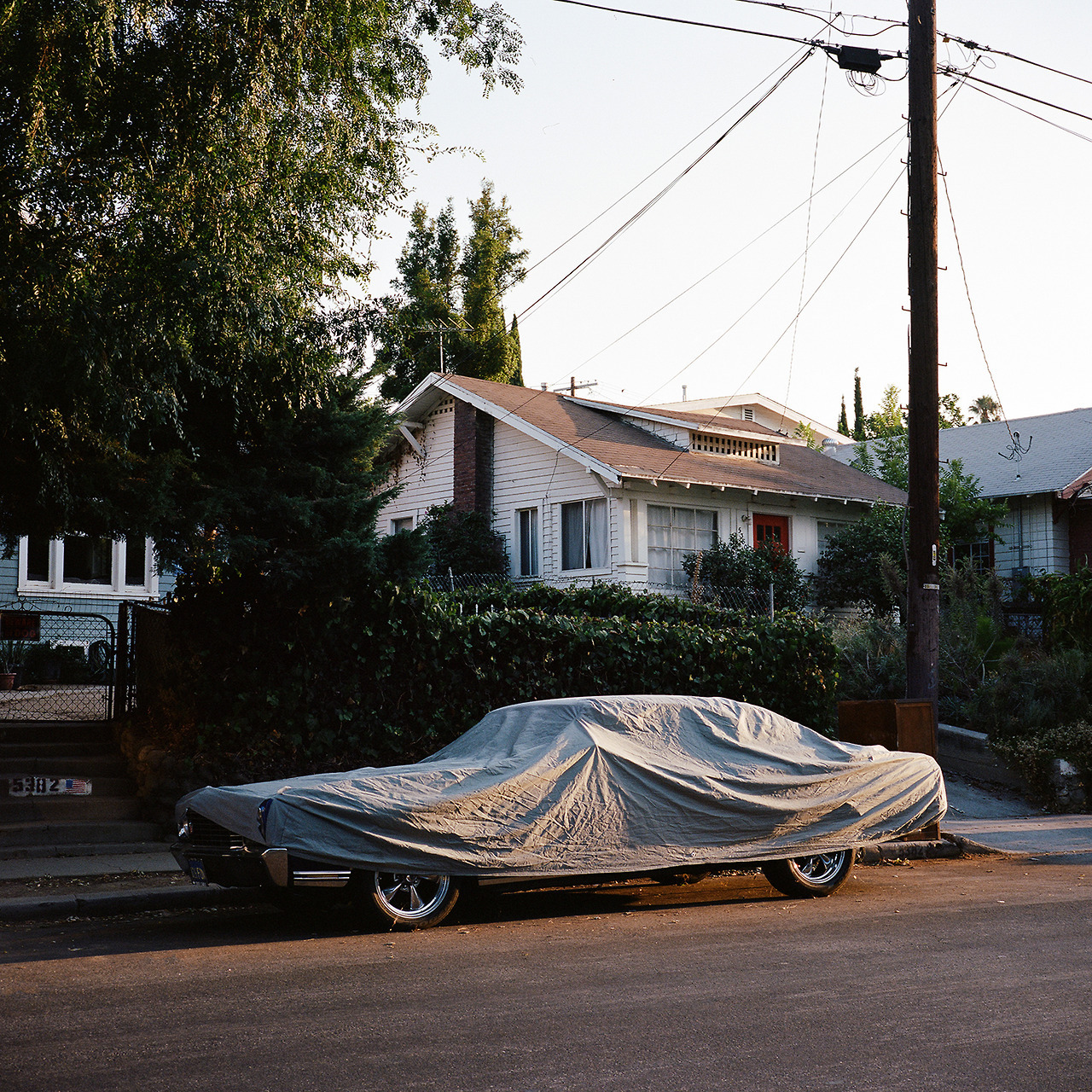Archillect ID 303505