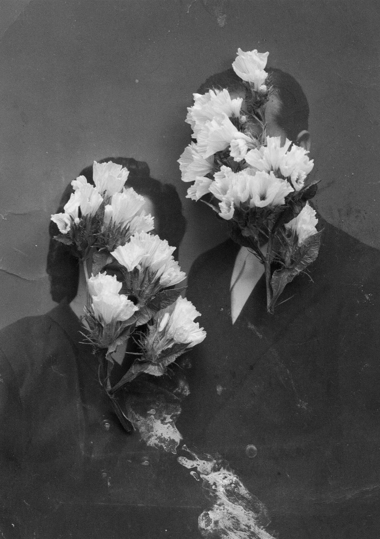 Archillect ID 303554