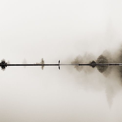 Archillect ID 303726