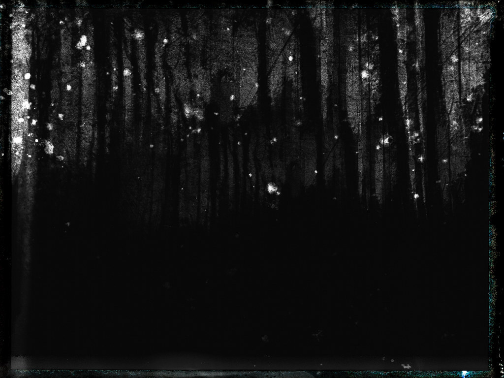 Archillect ID 303768