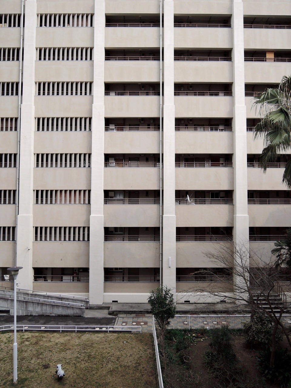 Archillect ID 303791