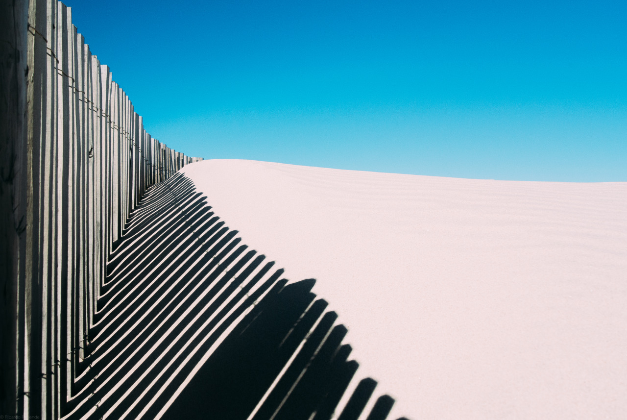 Archillect ID 303925