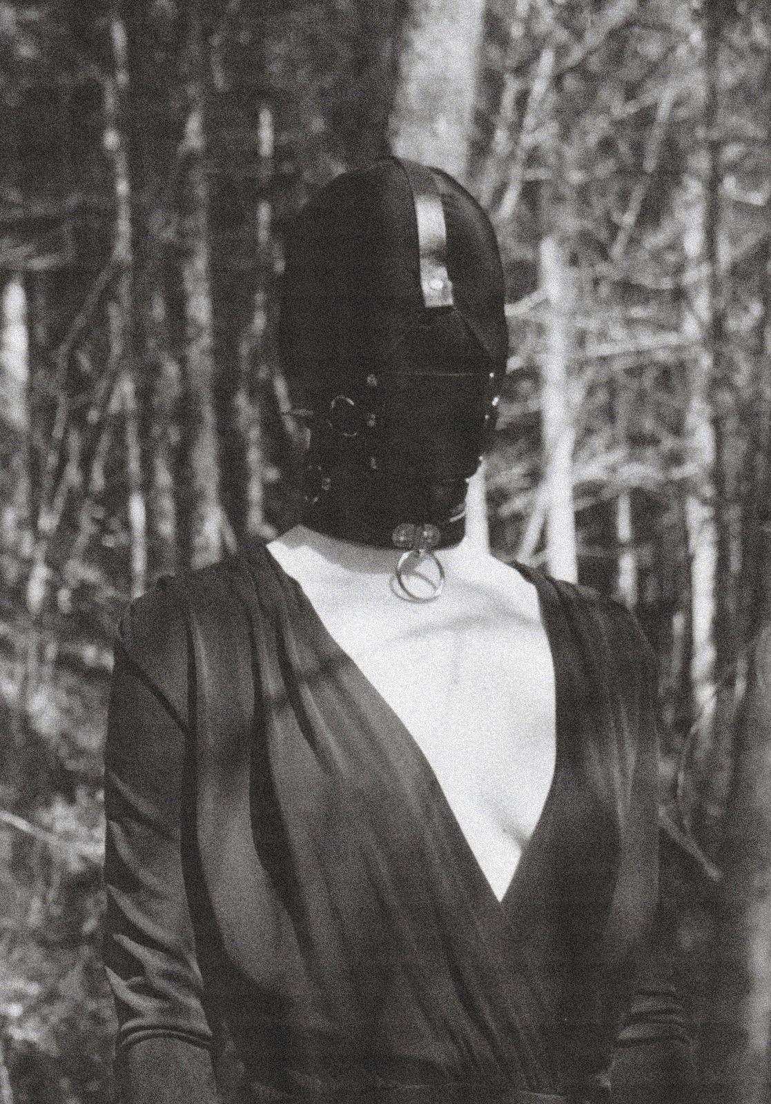 Archillect ID 303982