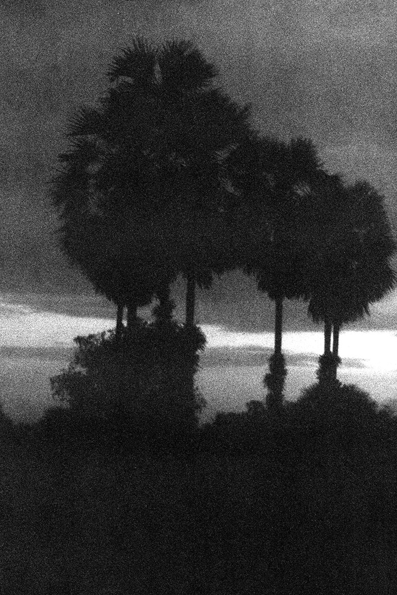 Archillect ID 304068