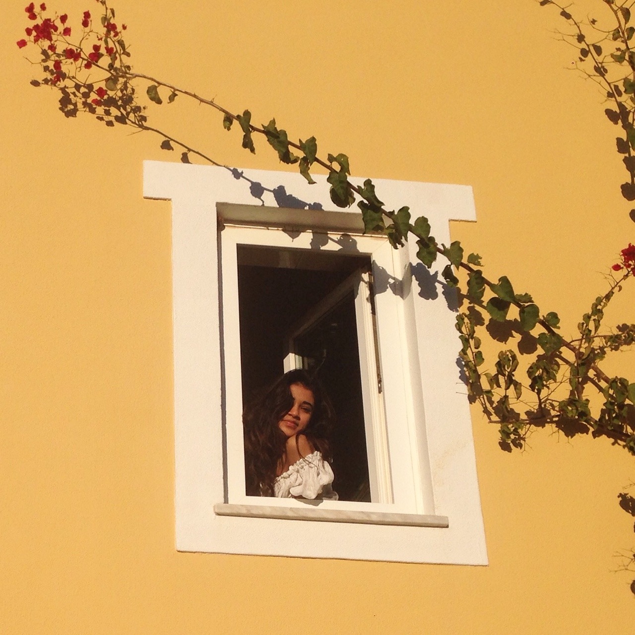 Archillect ID 304461