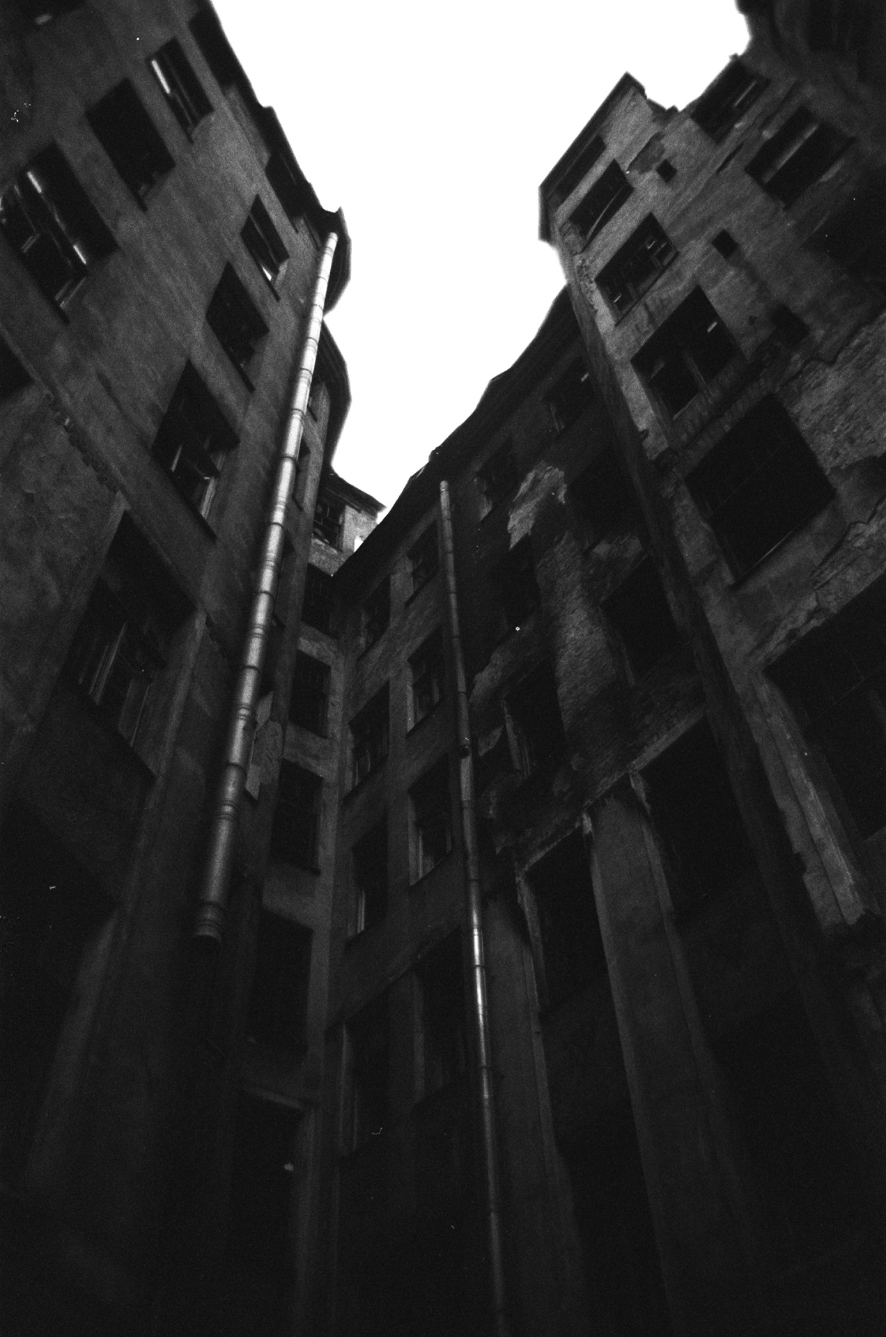 Archillect ID 304772
