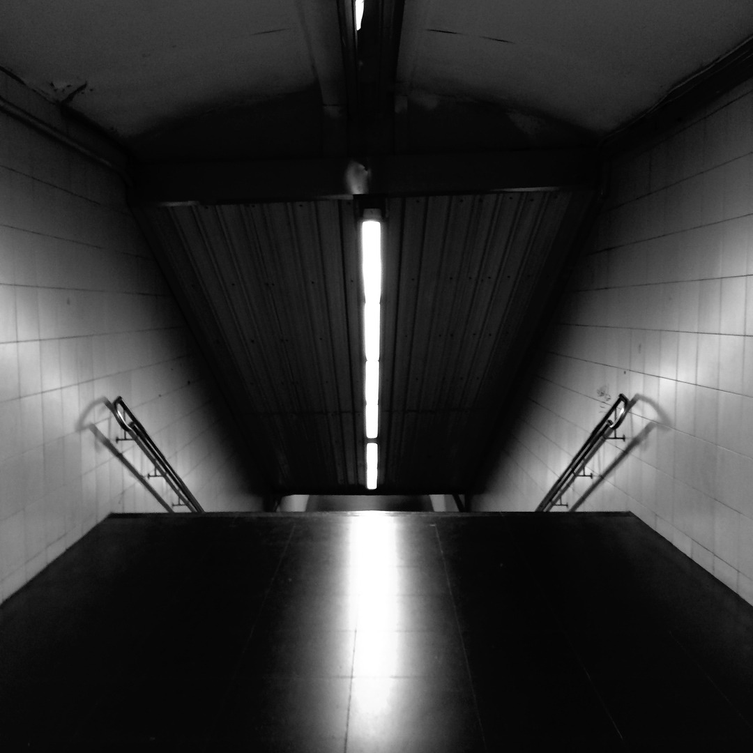 Archillect ID 304842