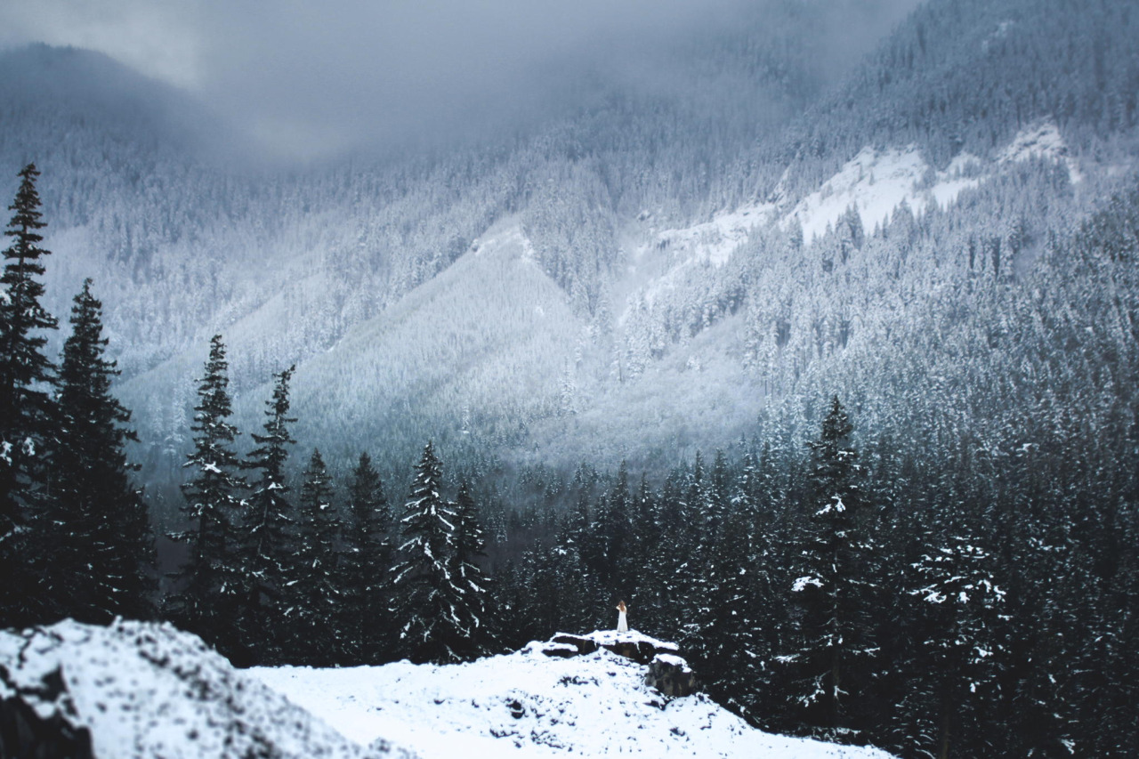 Archillect ID 304865