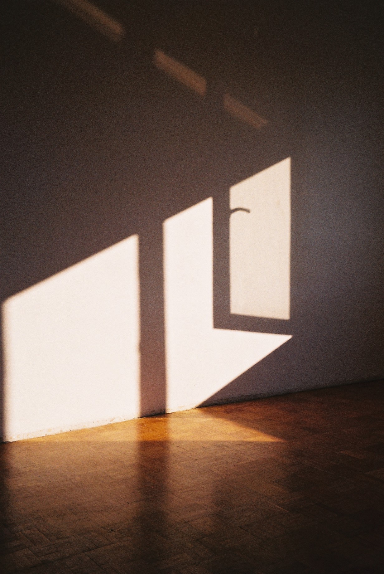 Archillect ID 304891