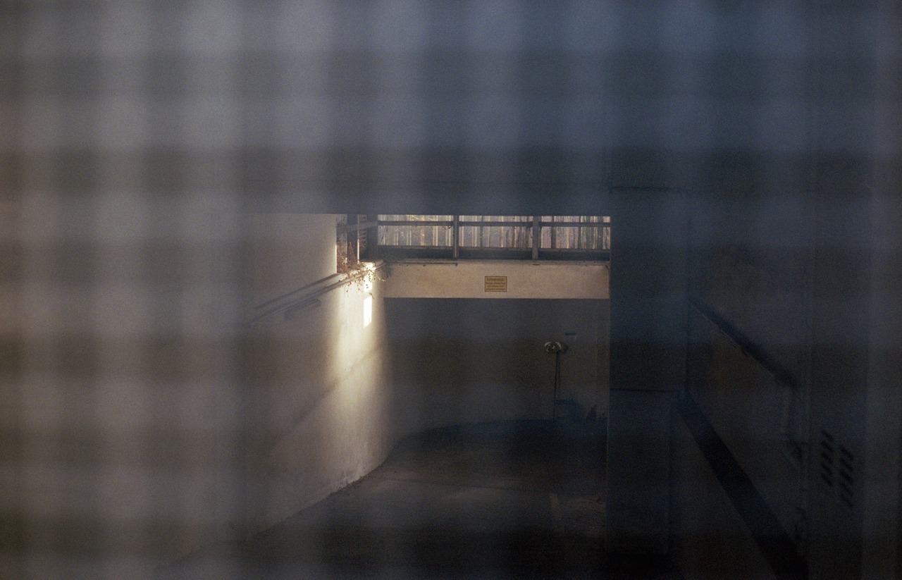 Archillect ID 305113