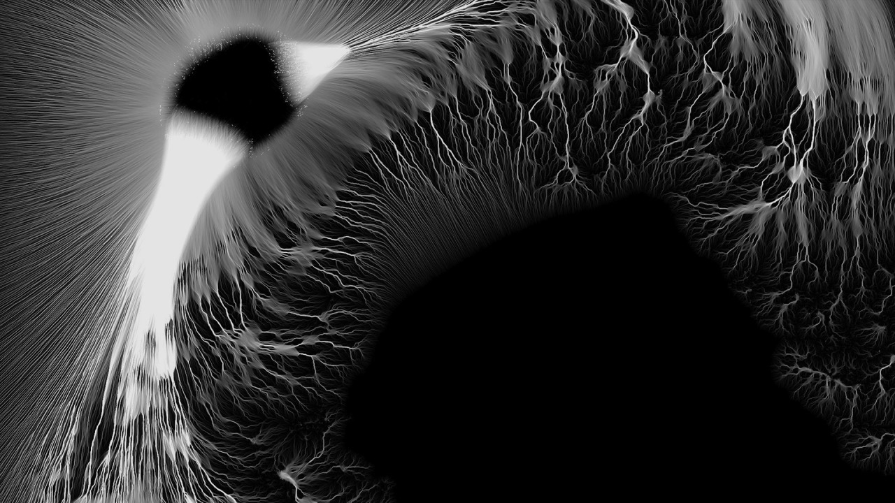 Archillect ID 305117