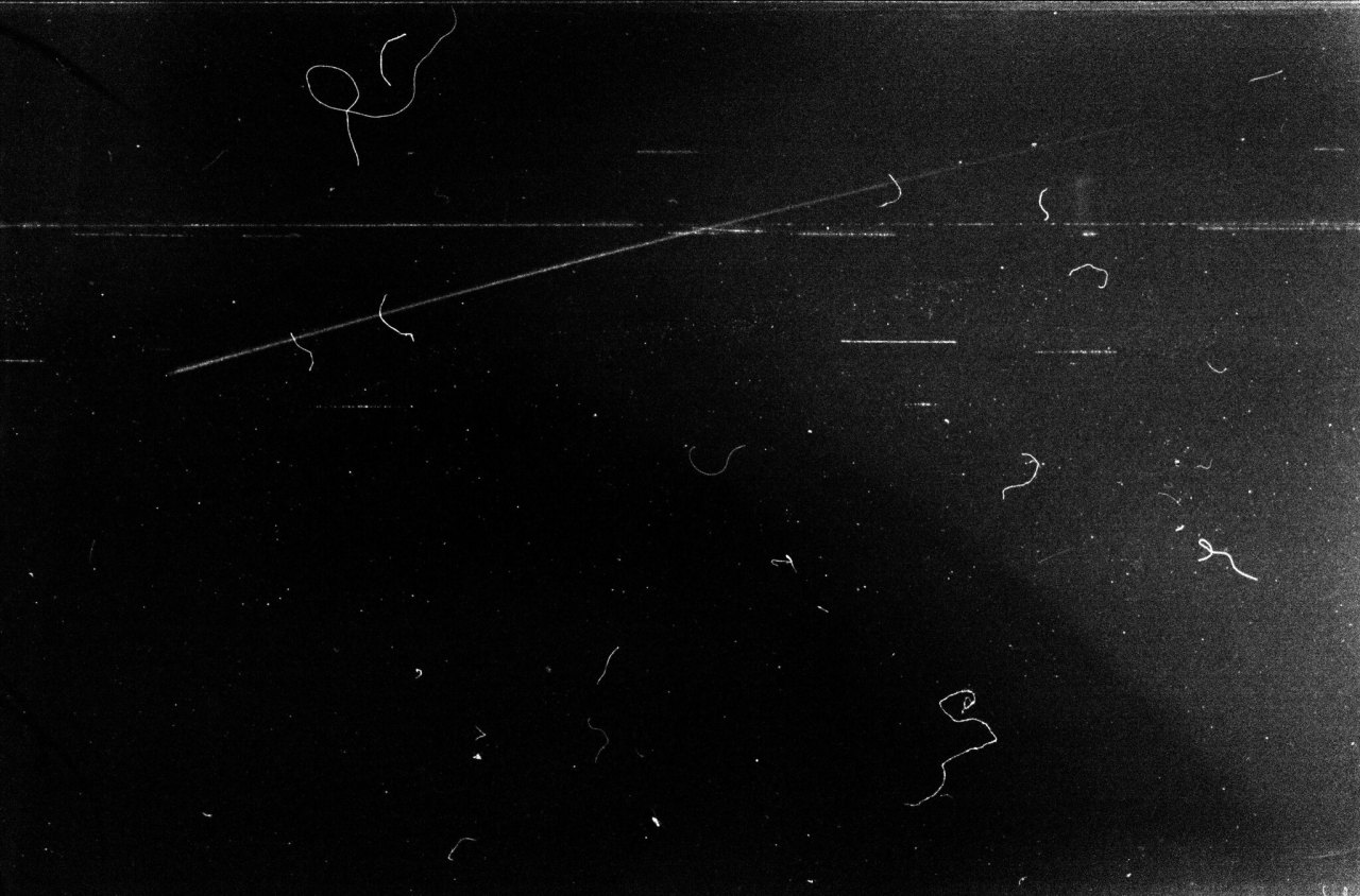Archillect ID 305203