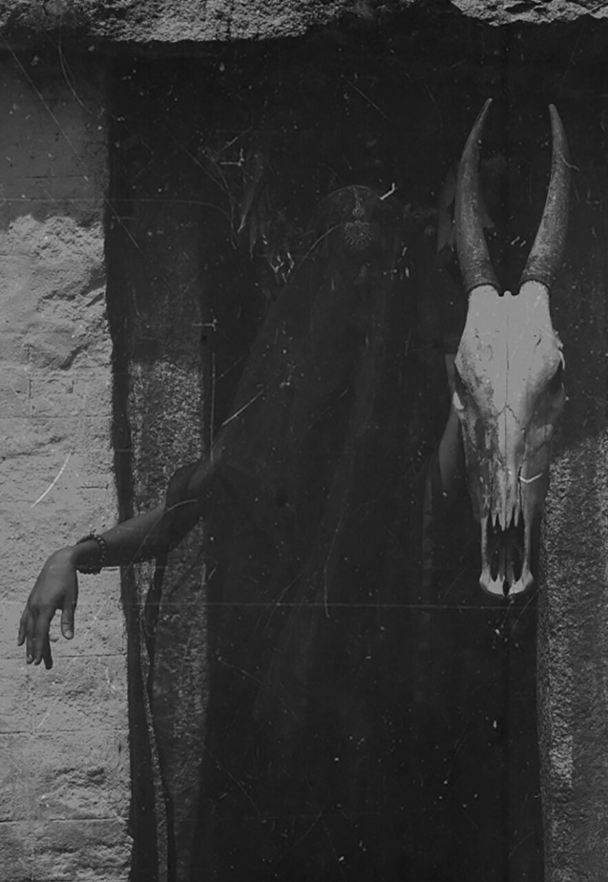 Archillect ID 305577