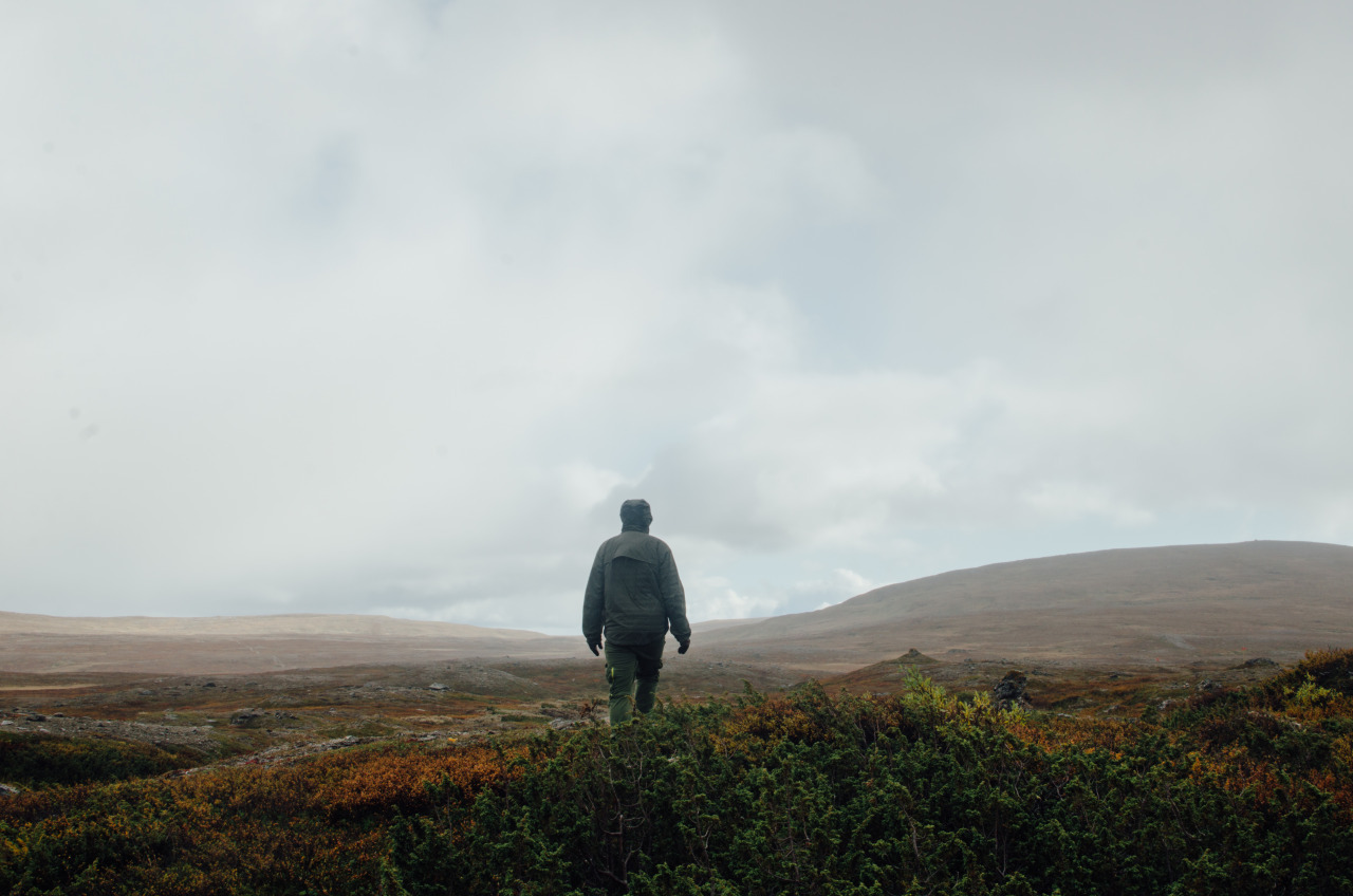 Archillect ID 305690