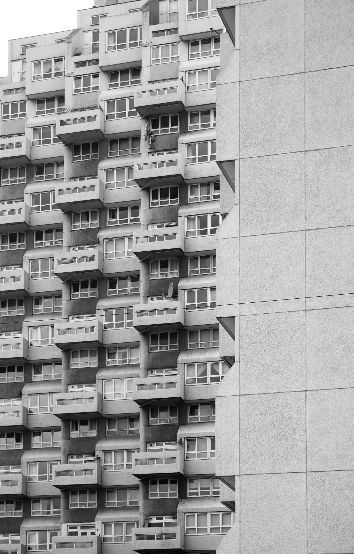 Archillect ID 305955