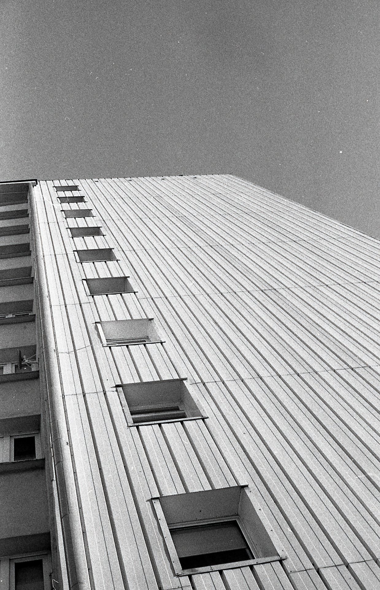 Archillect ID 306065