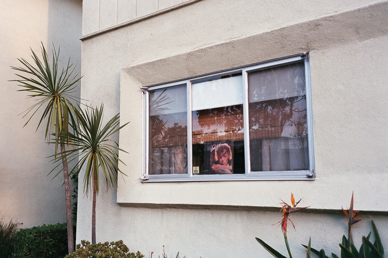 Archillect ID 306184