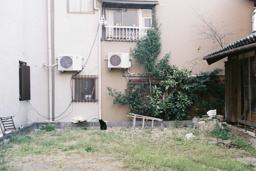 Archillect ID 306240