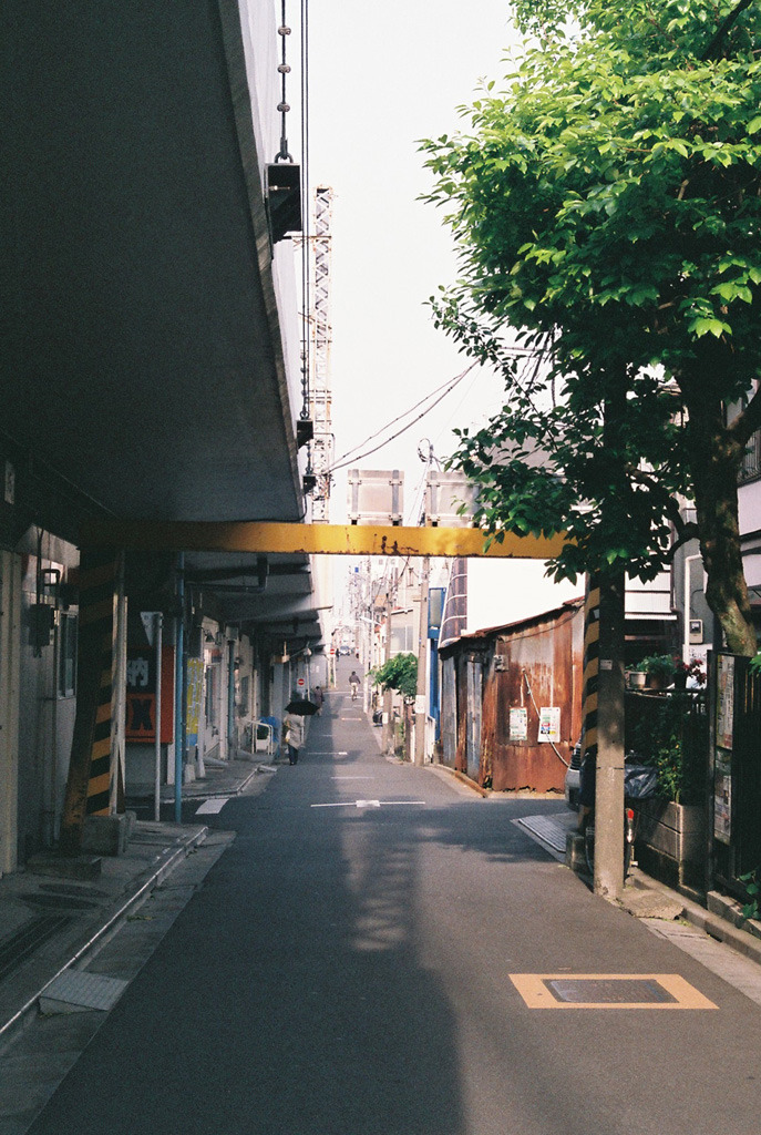 Archillect ID 306431