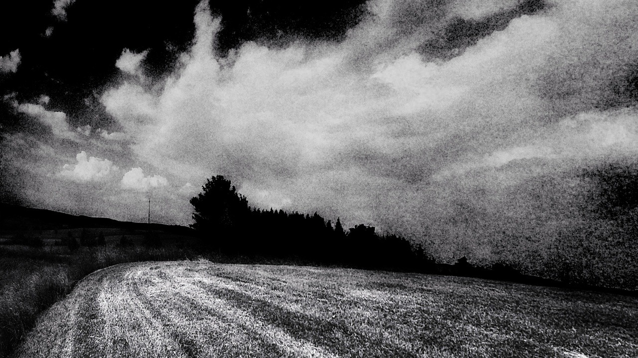 Archillect ID 307007