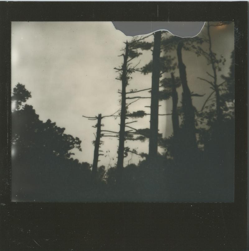 Archillect ID 307034
