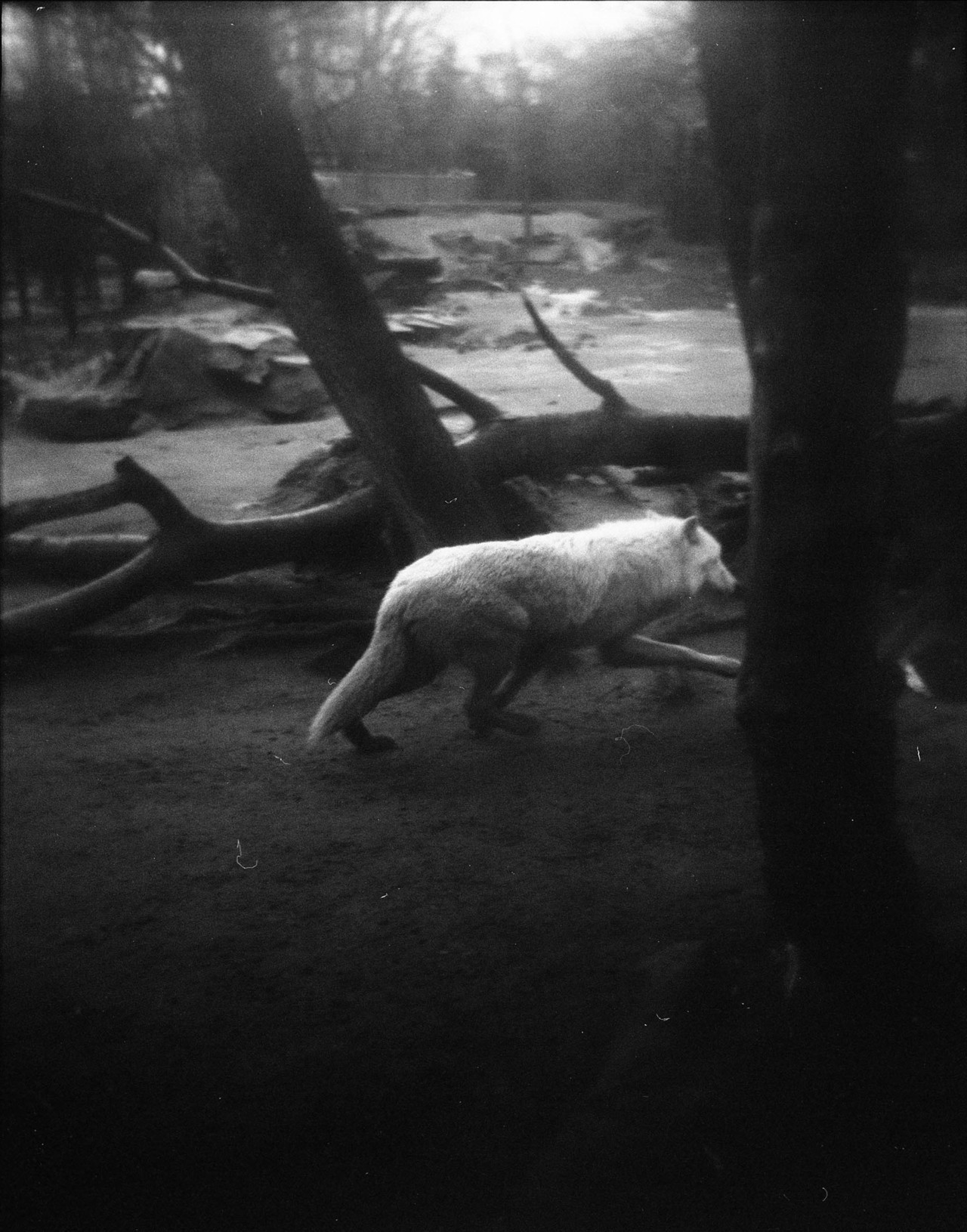 Archillect ID 307067