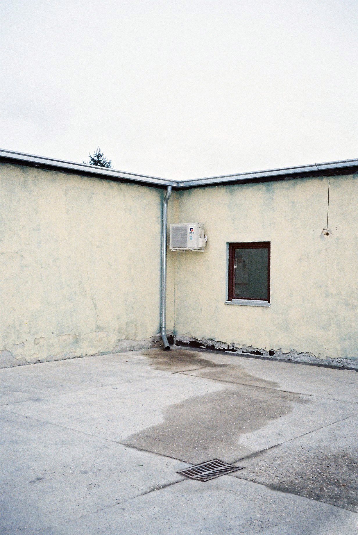 Archillect ID 307210