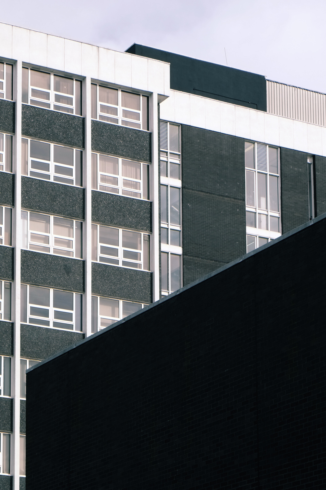 Archillect ID 307295
