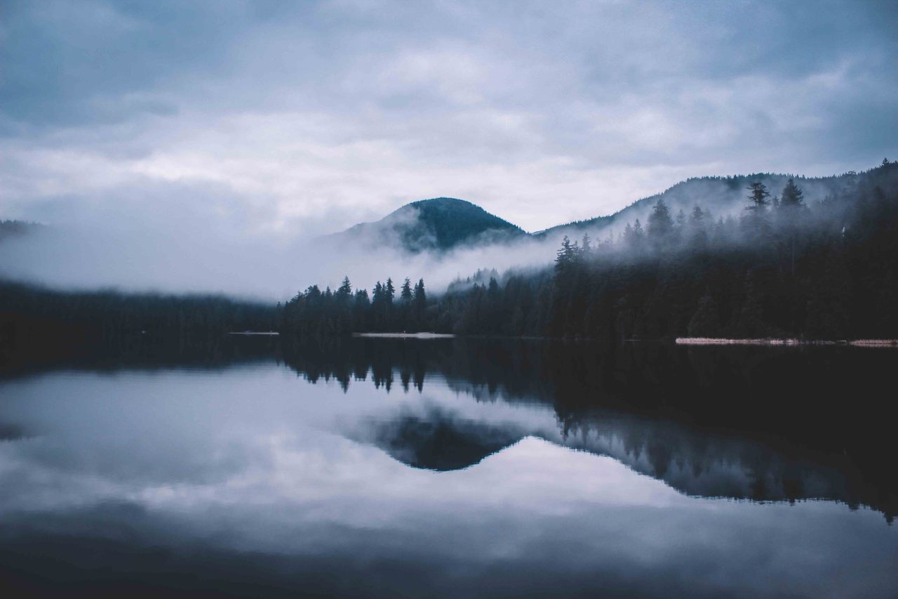 Archillect ID 307296