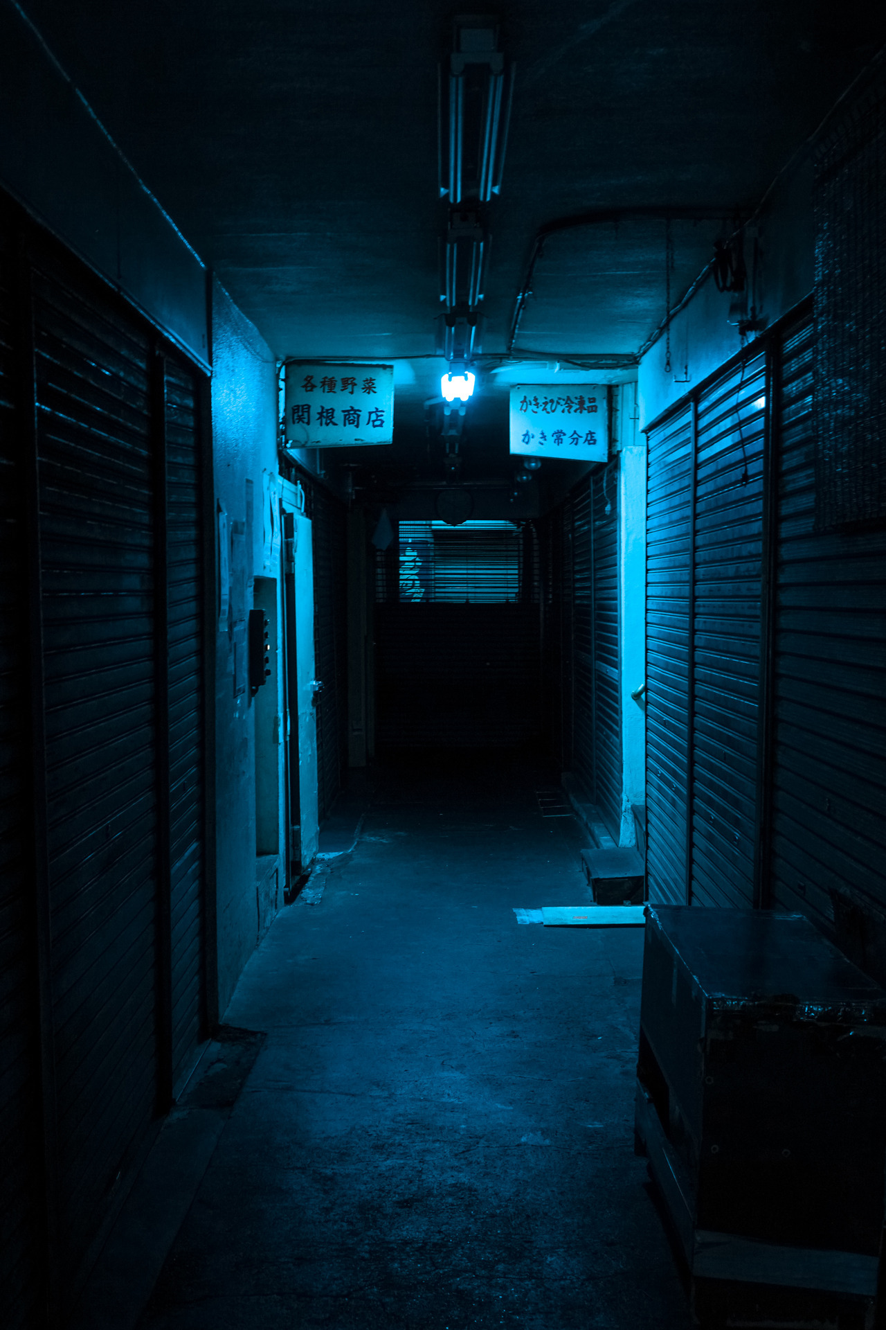 Archillect ID 307303
