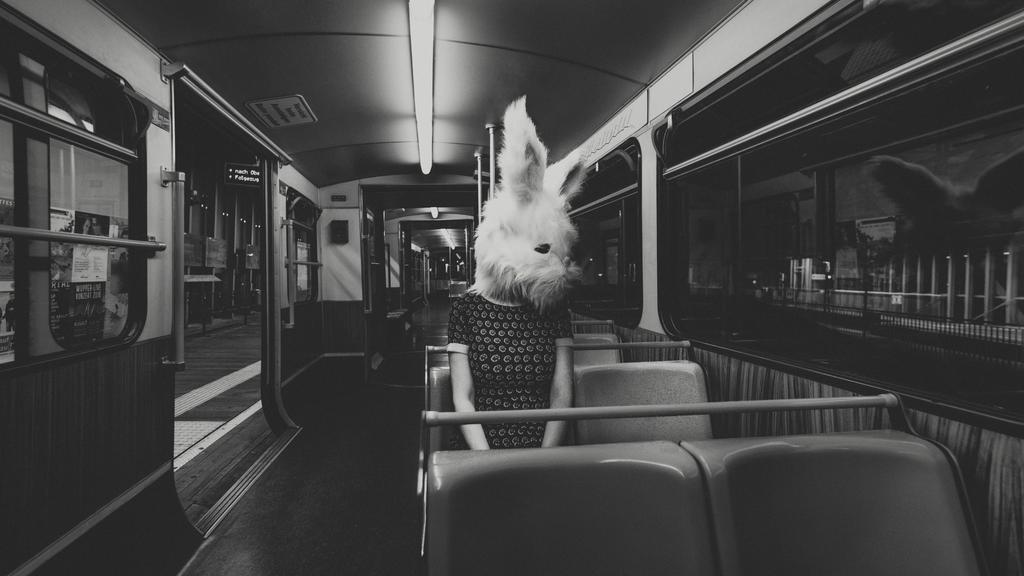 Archillect ID 307370