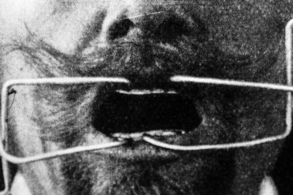 Archillect ID 307386