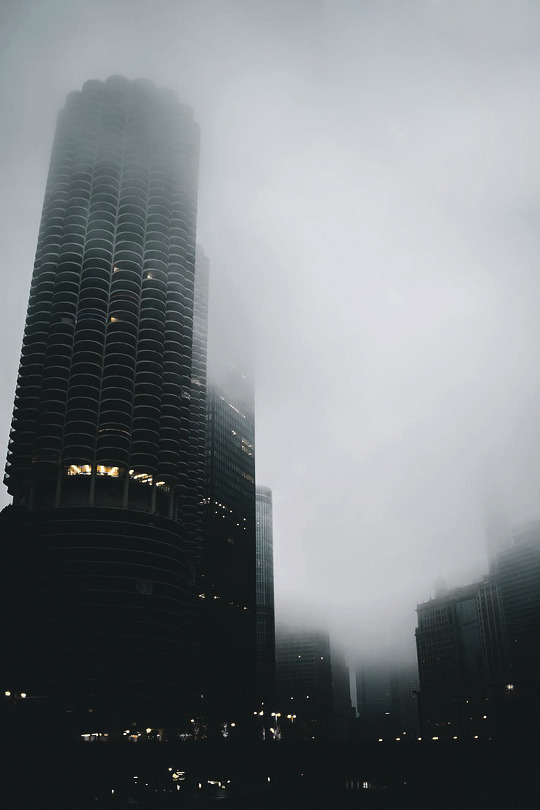 Archillect ID 307451