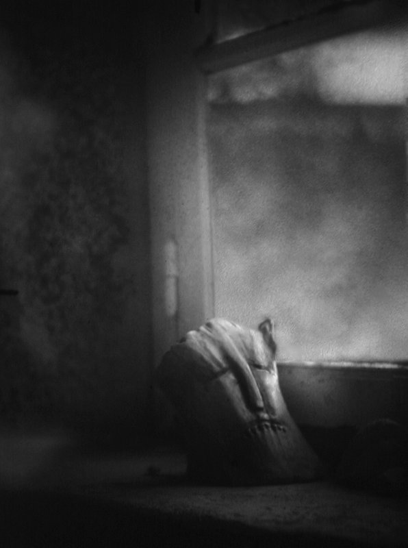 Archillect ID 307652