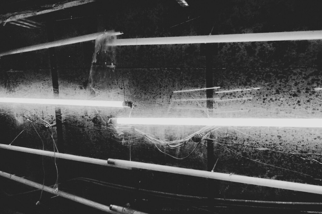 Archillect ID 307863