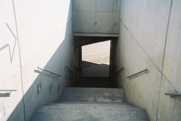 Archillect ID 307953