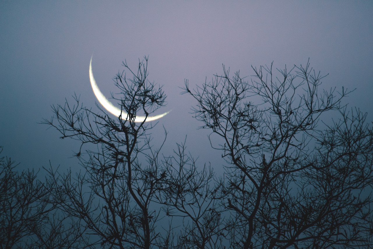 Archillect ID 308051