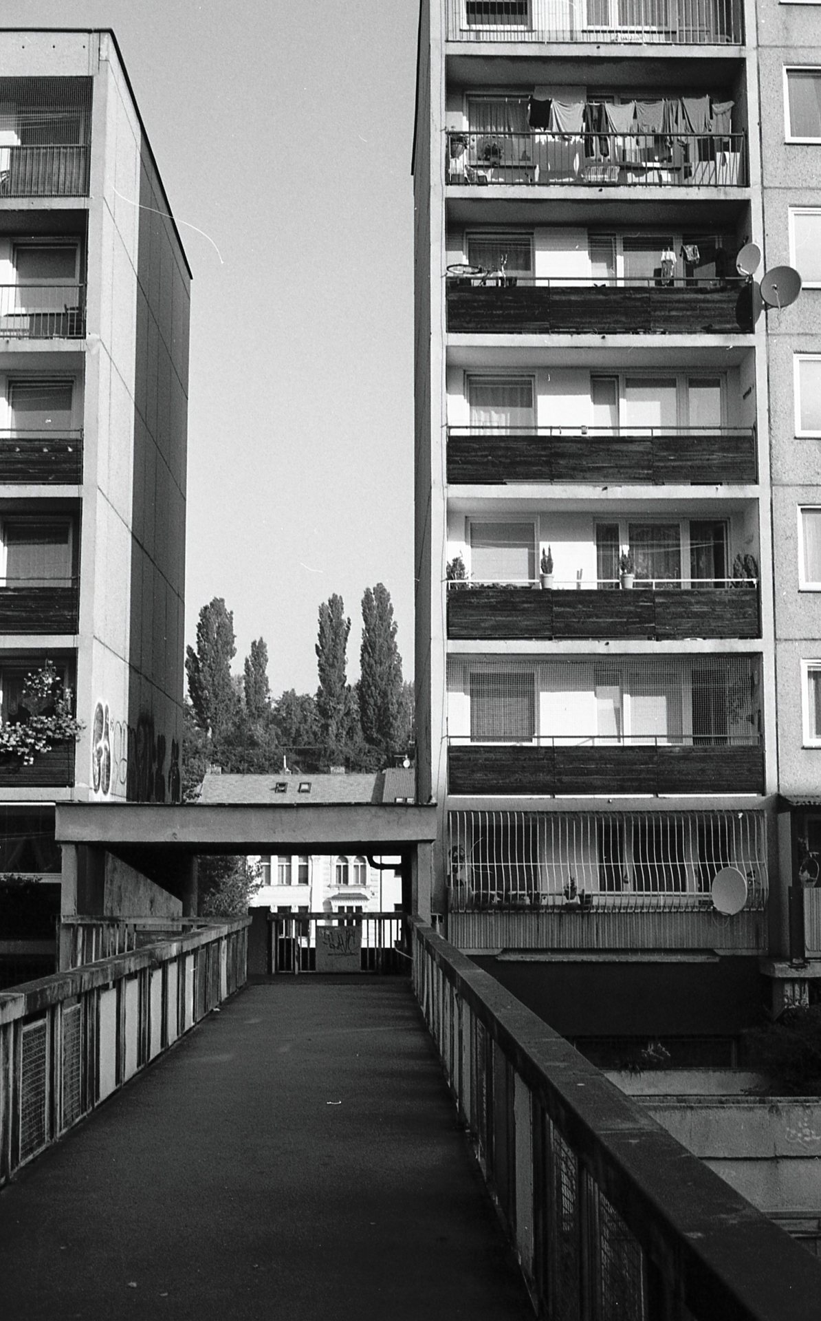 Archillect ID 308308
