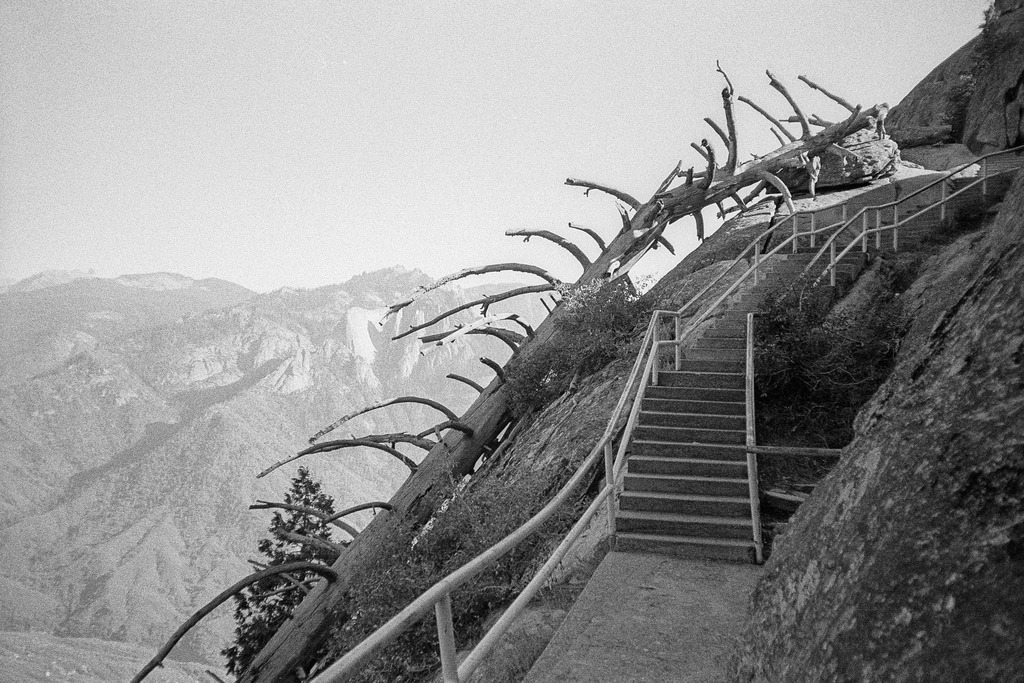 Archillect ID 308402