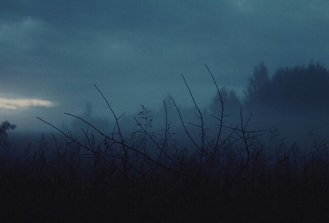 Archillect ID 308509